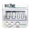 Ashley Productions Big Time Too Up/Down Timer, Pack of 3